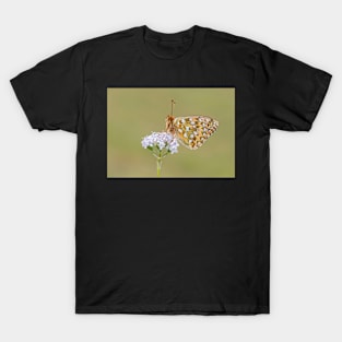 Dark Green Fritillary Butterfly on a White Valerian Flower T-Shirt